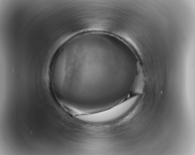 X0000088391077200706051113