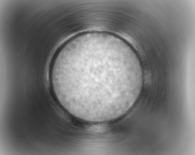 X0000088391078200706051113