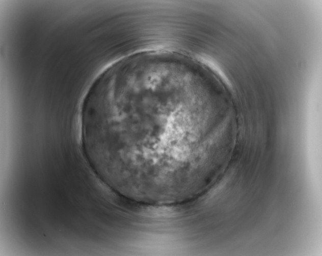 X0000088391079200706051113