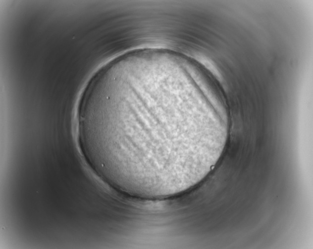 X0000088391080200706051113