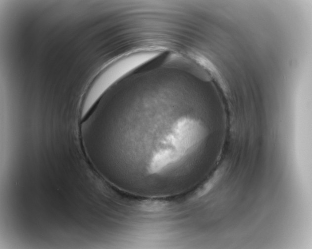 X0000088391081200706051113