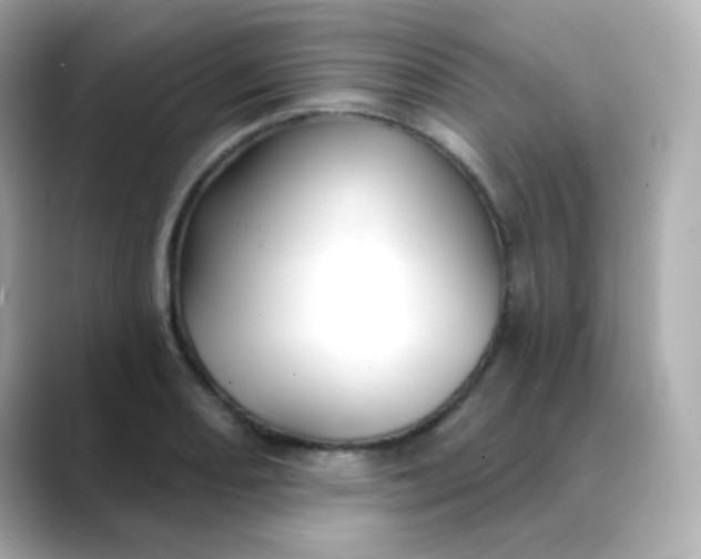 X0000088391082200706051113