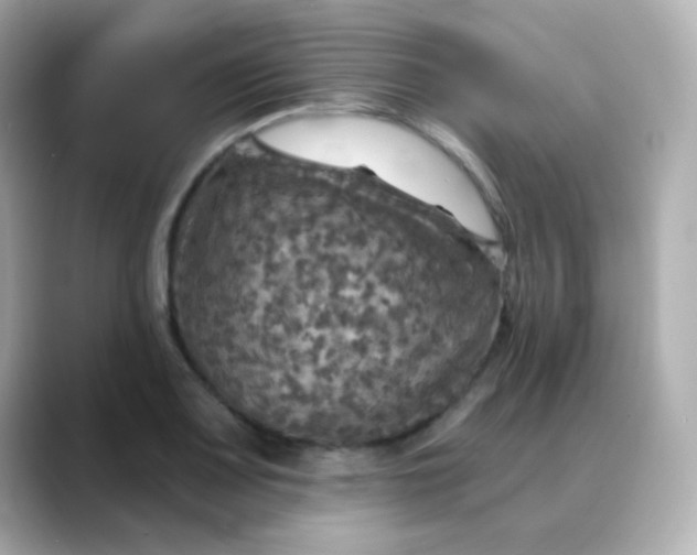 X0000088391083200706051113