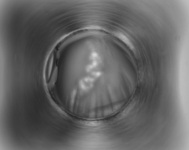 X0000088391084200706051113