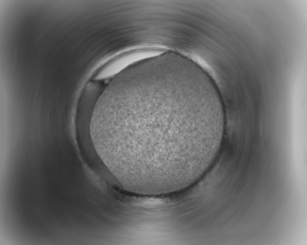 X0000088391085200706051113