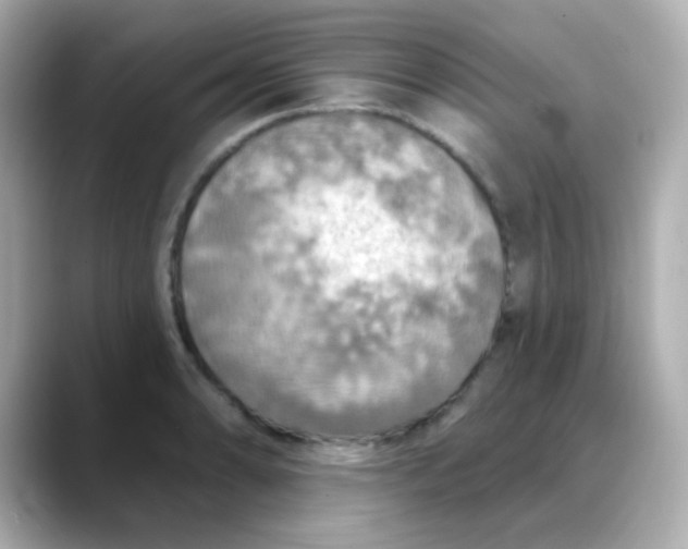 X0000088391086200706051113