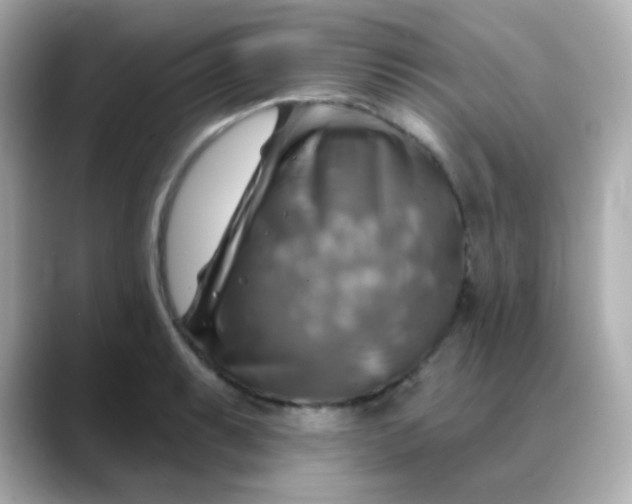 X0000088391087200706051113