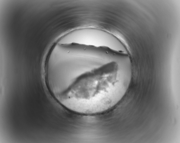 X0000088391088200706051113