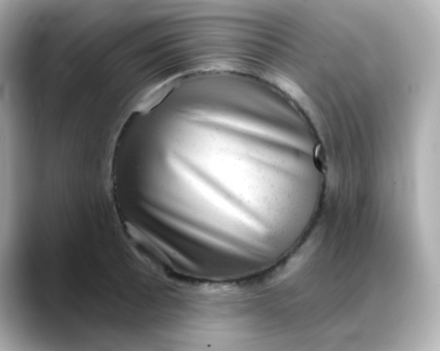 X0000088391089200706051113