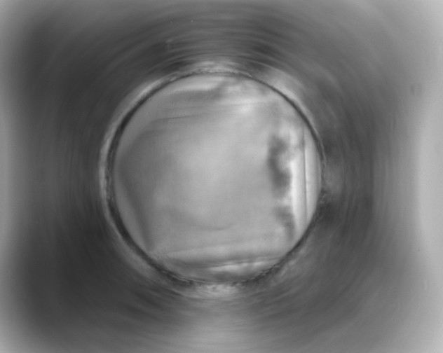 X0000088391090200706051113