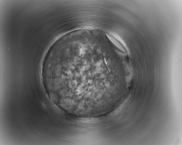 X0000088391091200706051113