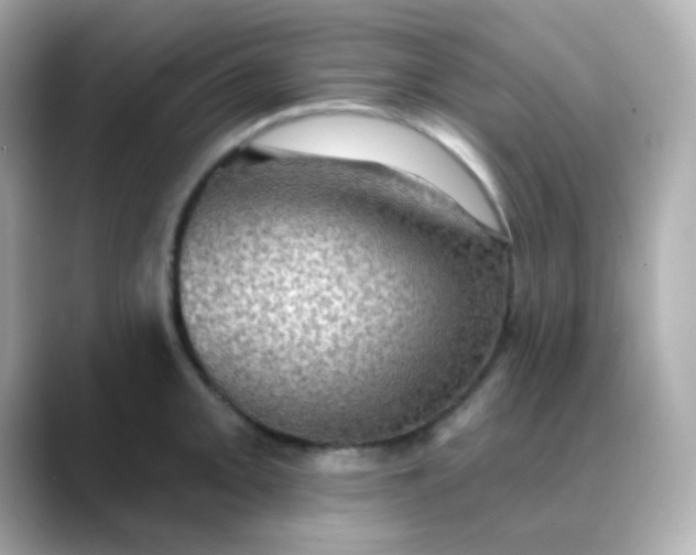 X0000088391093200706051113