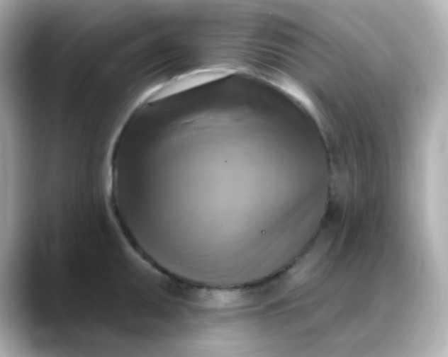 X0000088391095200706051113