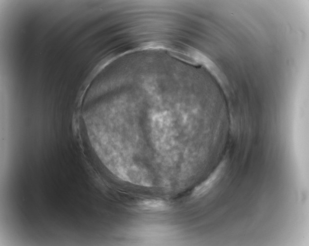 X0000088391097200706051113