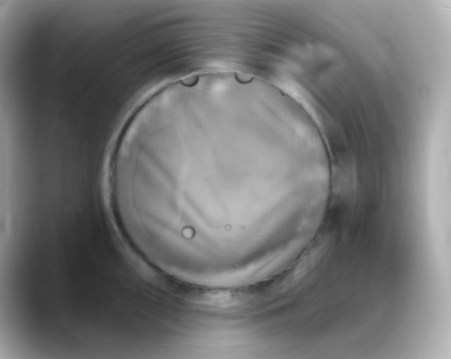 X0000088391098200706051113