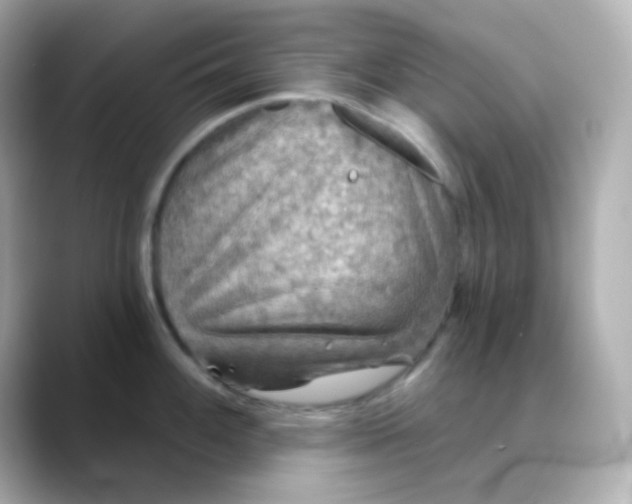 X0000088391100200706051113