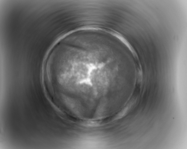 X0000088391101200706051113