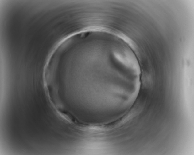 X0000088391102200706051113