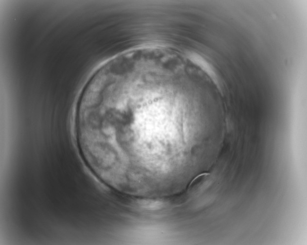 X0000088391103200706051113