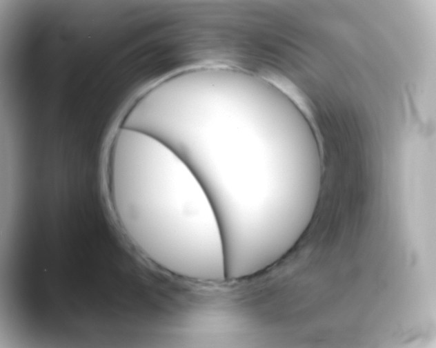 X0000088391104200706051113