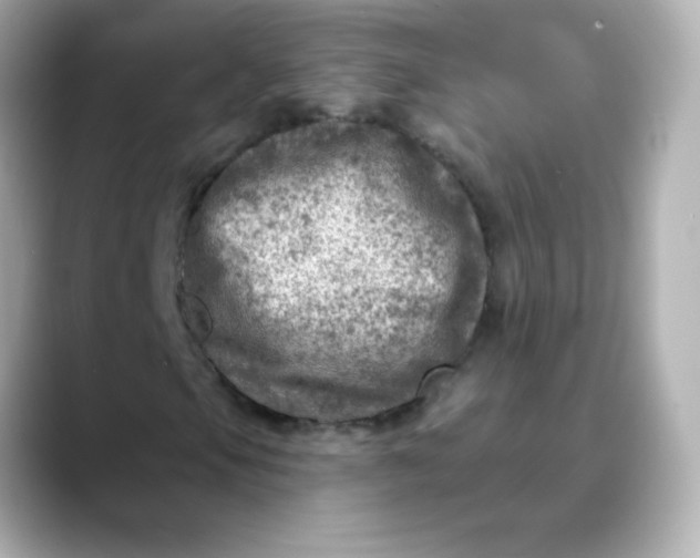 X0000088391105200706051112