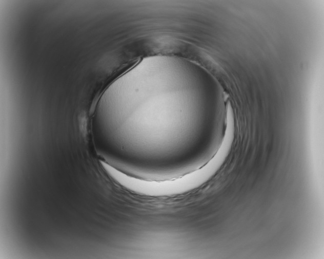 X0000088391108200706051112