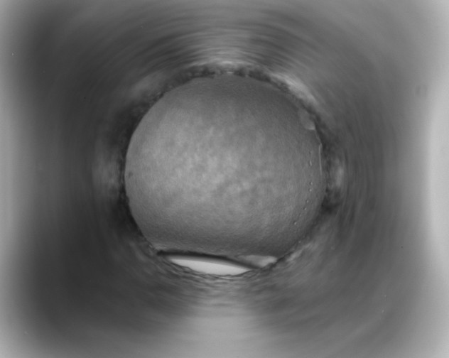 X0000088391110200706051112