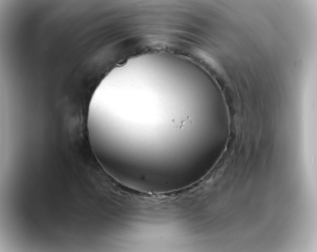 X0000088391111200706051112