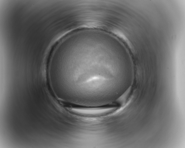 X0000088391114200706051112