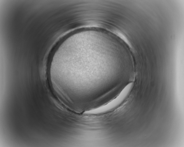 X0000088391116200706051112