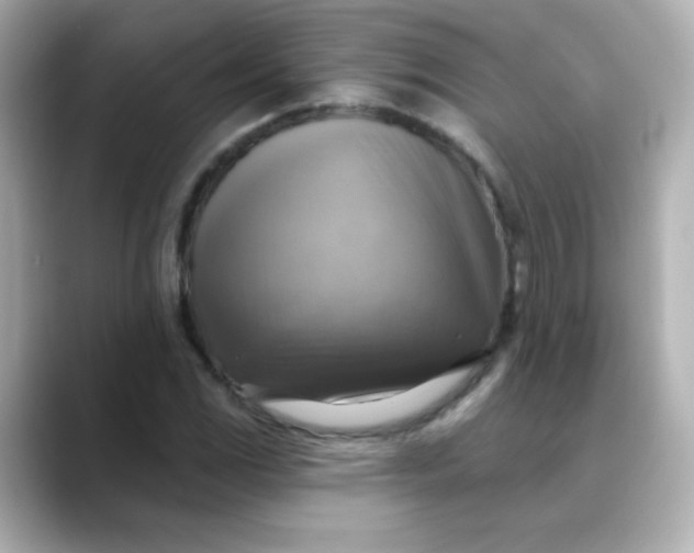 X0000088391117200706051112