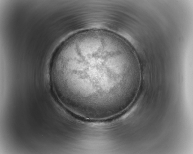 X0000088391118200706051112