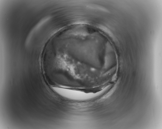 X0000088391121200706051112