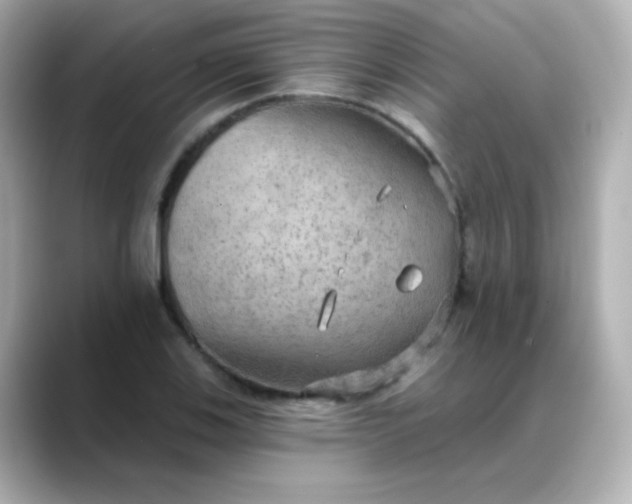 X0000088391123200706051112