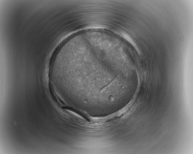 X0000088391124200706051112