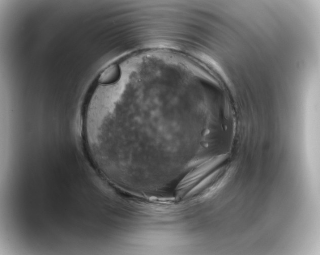 X0000088391125200706051112