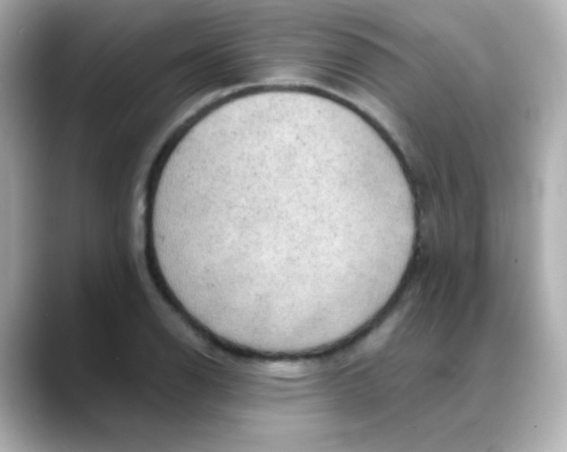 X0000088391126200706051113