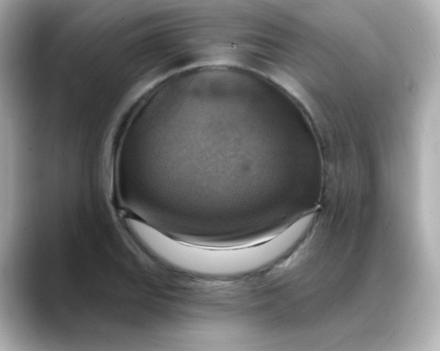 X0000088391127200706051113