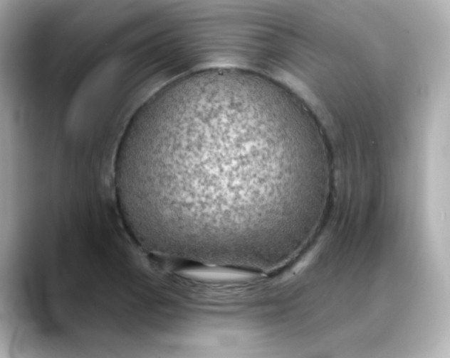 X0000088391129200706051113