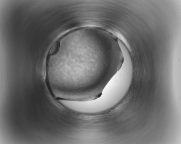 X0000088391132200706051113