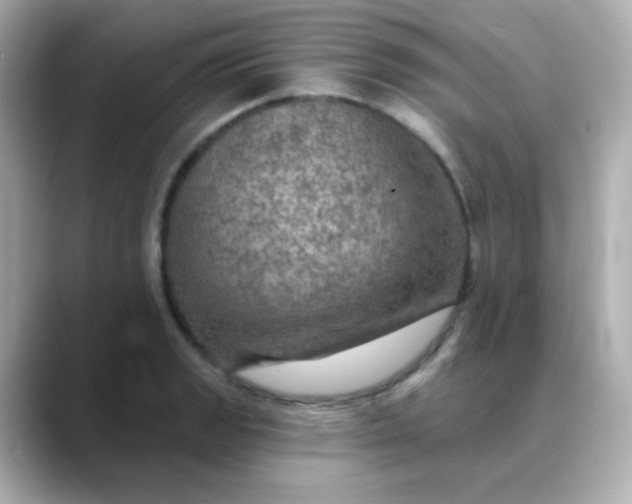 X0000088391133200706051113