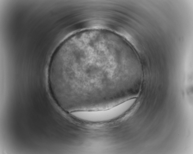 X0000088391134200706051113