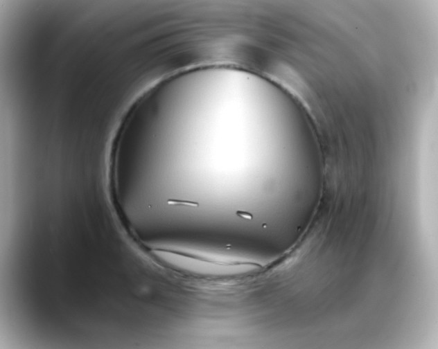 X0000088391135200706051113