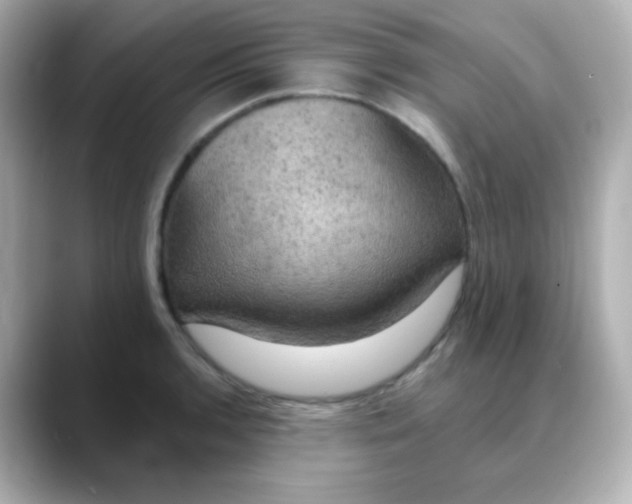 X0000088391136200706051113