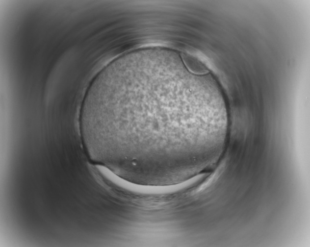 X0000088391137200706051113