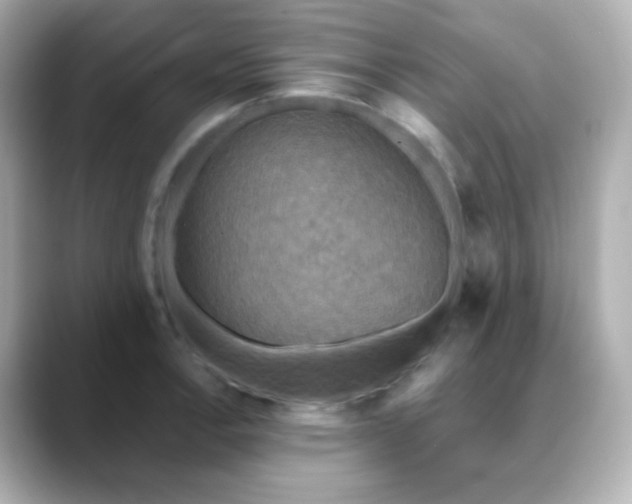 X0000088391138200706051113