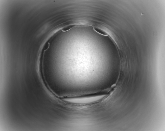 X0000088391139200706051113