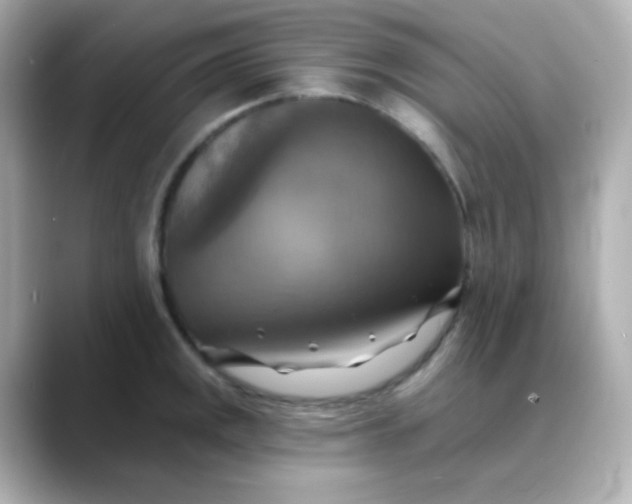 X0000088391141200706051113