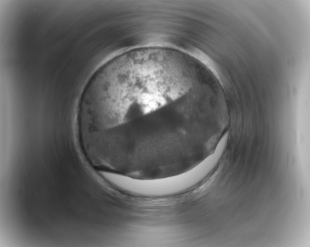 X0000088391142200706051113