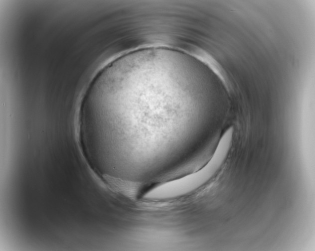 X0000088391143200706051113